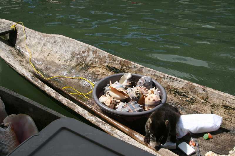 Mexico & Guatemala 2010 - 0969